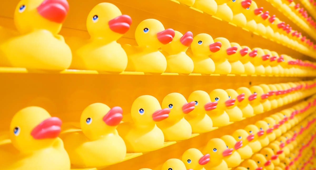 Hundreds of identical rubber ducks on shelves